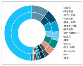 2022-2028年中國維生素與膳食補(bǔ)充劑市場深度調(diào)查與發(fā)展前景
