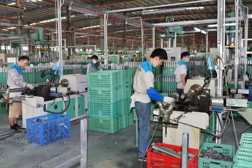 懷文抱質，匠心木魂 陽江竹木企業以工業酶制劑研發引領粵東西北外貿出口